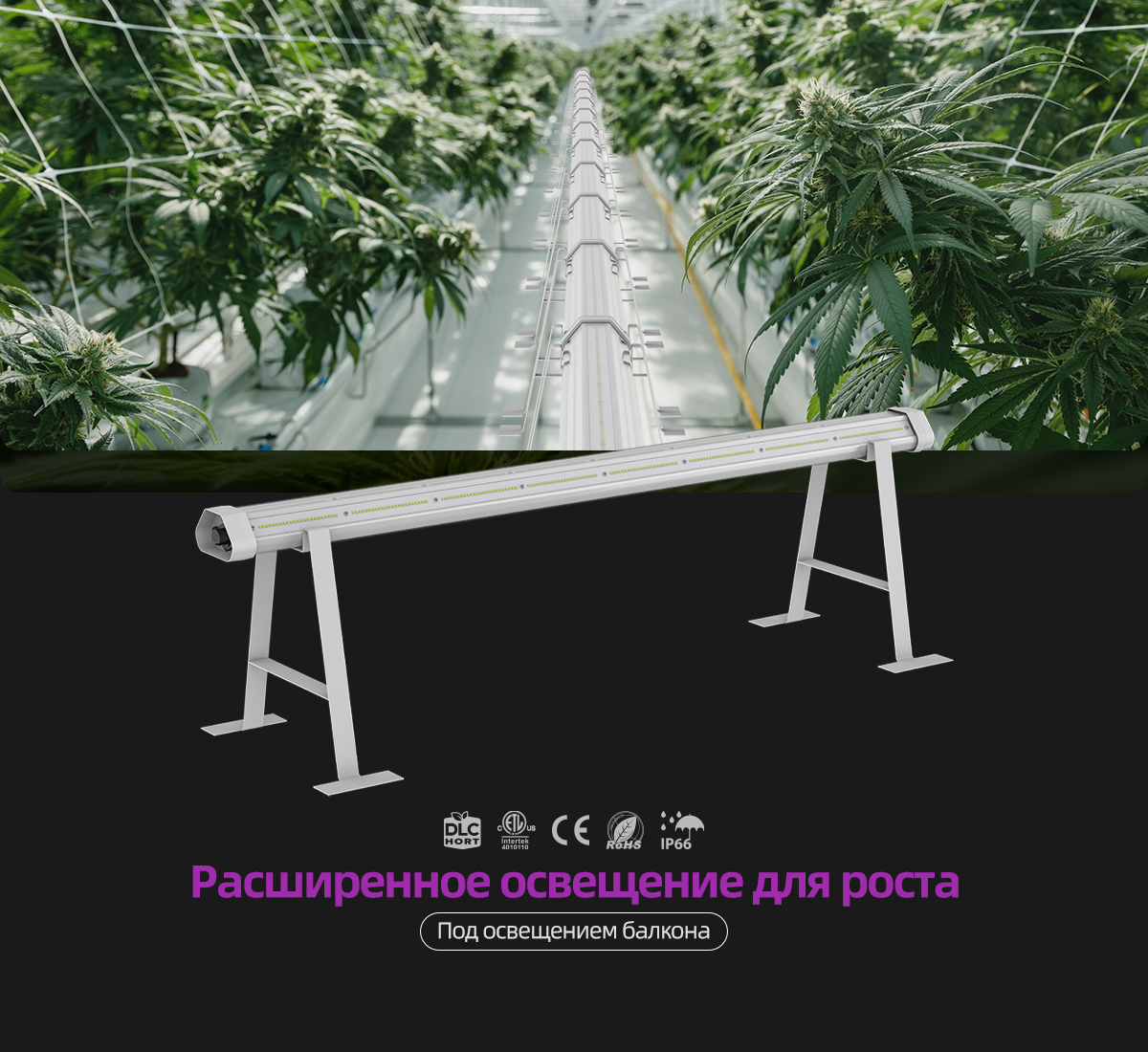 LPUC-Pro-俄语详情页_01.jpg