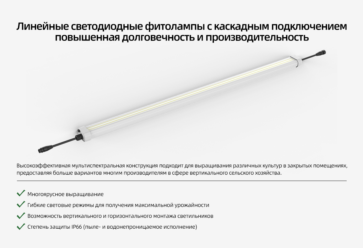 LPVR-Grow-light-SP4_03