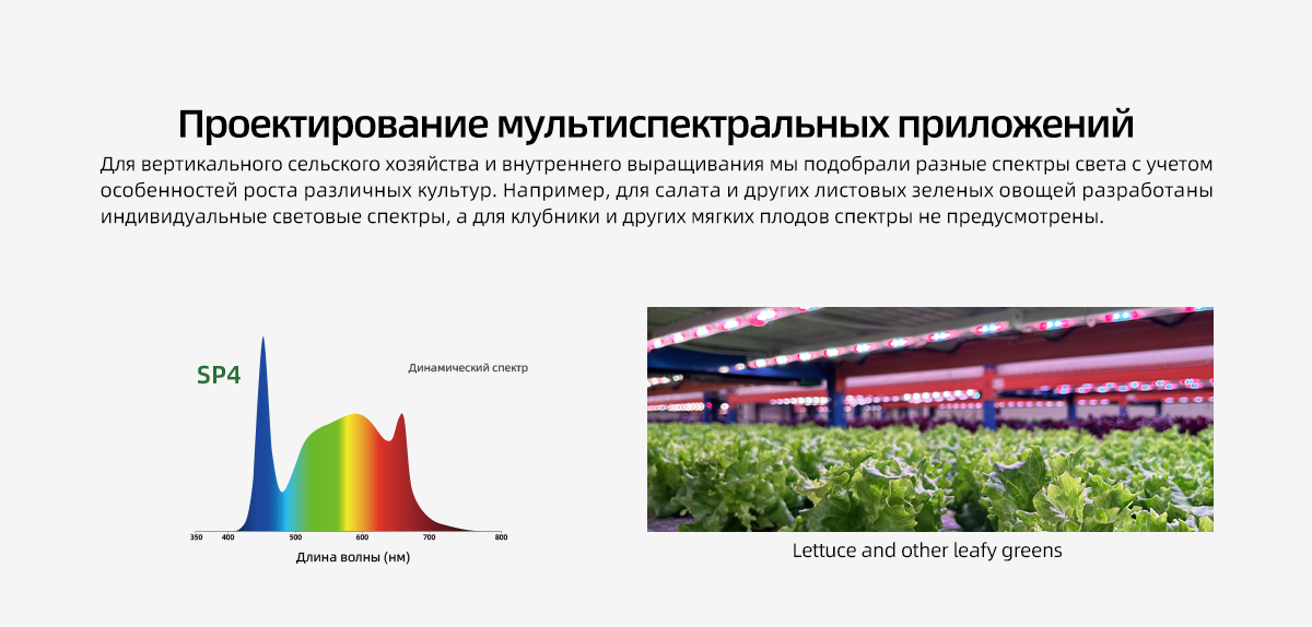 LPVR-Grow-light-SP4_05