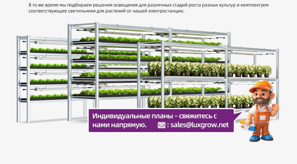 LPVR-Grow-light-SP4_06
